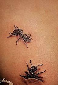 patró de tatuatge animal: patró de tatuatge de formiga petita
