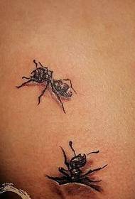 sumbanan sa tattoo sa hayop: paggisi sa gamay nga sumbanan sa tattoo sa ant