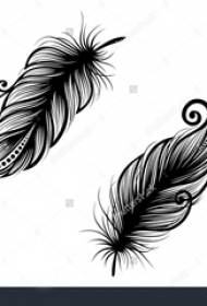 черное перо павлина татуировка простая линия картина татуировка рукописный материал
