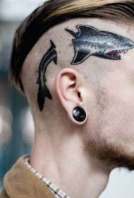 главата стара училишна боја луда ајкула тетоважа шема