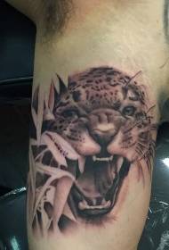 brako bruna muĝado leopardo tatuaje ŝablono