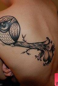 Modeli i Tattoo Tattoo Cute Owl