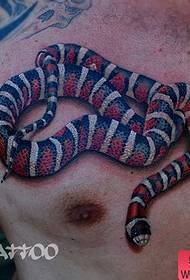 maskla antaŭa brusto bela kaj bela eŭropa kaj usona kolora serpenta tatuaje ŝablono