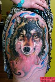 kafafun mulkin mallaka sanyi sanyi Turai da Amurka launi wolf shugaban tattoo juna