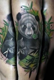 Panda colorato realistico realistico che mangia il modello di tatuaggio di bambù
