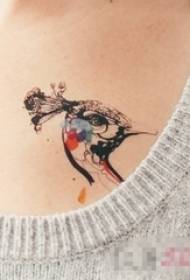 pecho de nena pintado de liña sinxela pequeno animal de pavo real tatuaxe 134819-Escrito de patrón de tatuaxe de pavo real europeo