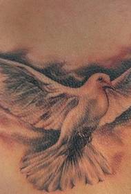 малюнак татуіроўкі голуба і сімвалічнае значэнне