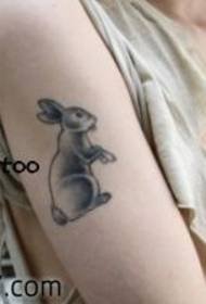braccio tatuaggio coniglietto modello 133177-bellezza vita modello tatuaggio rana carino