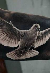 een verscheidenheid aan vleugels vliegende duiven tattoo patroon
