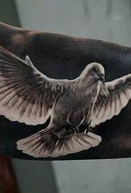 yon varyete de zèl vole pijon modèl tatoo