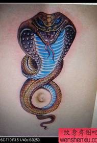 tatuering mönster - populär orm tatuering mönster fint