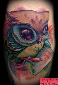 Professionell tatuering introducerar ett färgstarkt owl tatueringsmönster