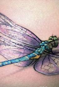 modello tatuaggio libellula