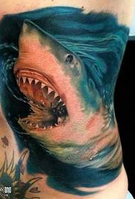 Vzor tetovania v páse žraloka