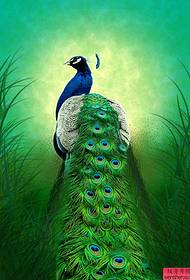 Peacock Tattoo- ի նախշը