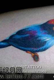 braço cor pássaro pega tatuagem padrão