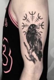 9 tamsiai juodos varnos tatuiruotės vario tema