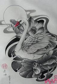 Schwan Lotus Tattoo Manuskript Bild