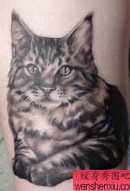 lindo tatuaje de gato