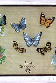 Butterfly Tattoo Pattern: Pansy Tattoo Pattern Foto