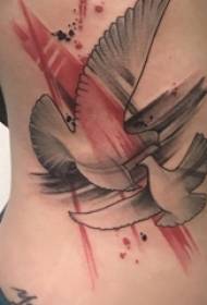 ragazze sul lato della vita dipinte punte di puntura linea semplice immagini di tatuaggi di piccione bianco piccolo animale
