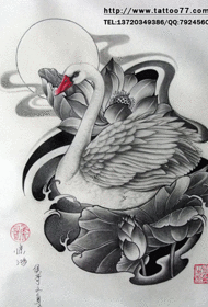 លំនាំស្នាមសាក់ផ្កាឈូក