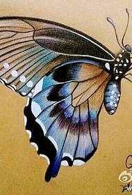 Immagine di manoscritto tatuaggio farfalla di colore fornita da Tattoo Show