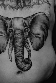 abdomen realism Style elephant avatar tattoo pattern