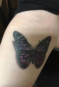 Дјевојчицина рука насликана на градиентној једноставној линији тетоважа животињског лептира