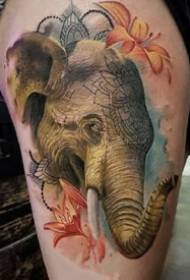 Elefanteei buruzko tatuajeen diseinu multzoa