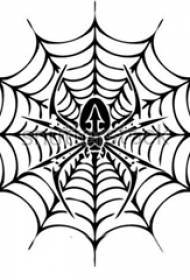 manuskript foar spinne -webtatoe regelt spinne en tatoeëriem manuskript foar spinnenweb