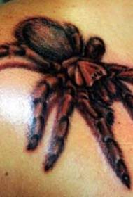 modello realistico del tatuaggio del grande ragno di colore della spalla
