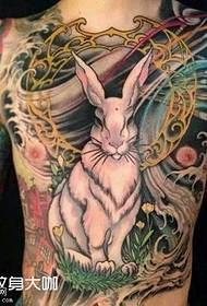 Tatuaggio Coniglio Sul Petto