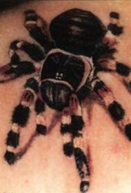 realistyczny wzór tatuażu pająka na ramieniu