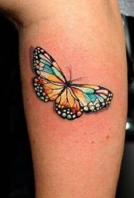 Shank roztomilý motýľ tetovanie vzor