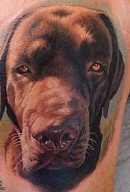 o can da familia de acollida Patrón de tatuaxe