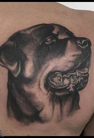 rameno pes tetování vzor