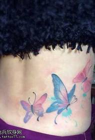 Pás motýl tetování vzor