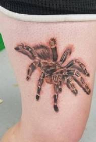 Gadis paha dicat 3d realistis gambar tato hewan kecil laba-laba