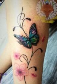 Labalaba Tattoo Àpẹẹrẹ 11 Labalaba Tattoo awọn ilana