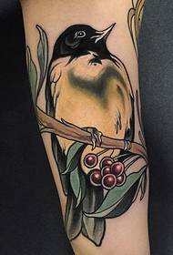 Krásný akvarel tetování pták tetování vzor