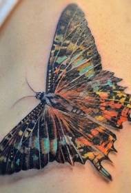 Reális reális nagy pillangó tetoválás minta