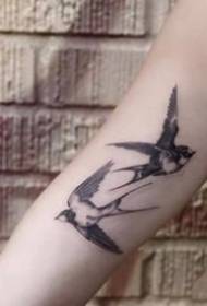 ກຸ່ມເບິ່ງທີ່ດີຂອງຮູບຖ່າຍ tattoo ກືນງ່າຍດາຍ