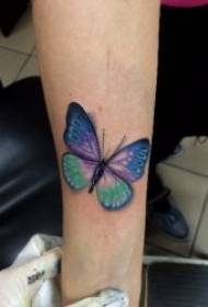 Τατουάζ μικρό φως μοτίβο πεταλούδα και κομψό μοτίβο τατουάζ πεταλούδα