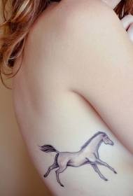 Swarte pony side rib tattoo patroan