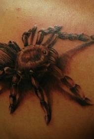 назад красиві реалістичні павук татуювання візерунок