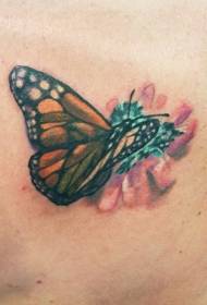 Blomme-vlinder-tatoeëringspatroon