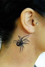 3D twa dimansyon Spider modèl tatoo Daquan