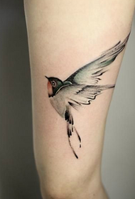 abbastanza bellu mudellu di tatuaggi di inghjustzione di tinta