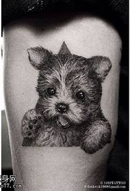 шакли tattoo сагбача зебо
